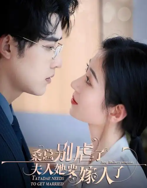长夜有灯 热播电视剧全集免费在线观看